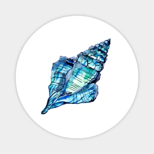 Blue Conch Sea Shell Magnet